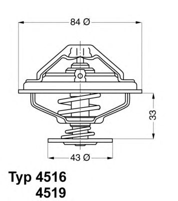 termostat,lichid racire BMW 85C M60/70 E34 (CATALIZATOR)