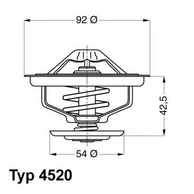 termostat,lichid racire