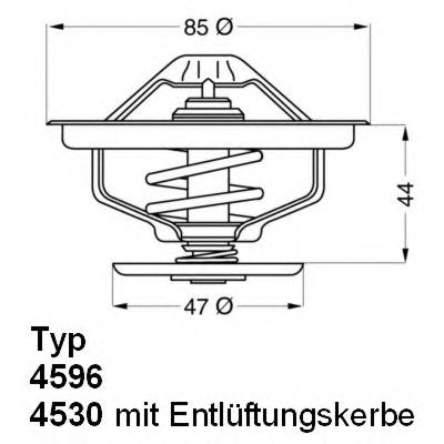 termostat,lichid racire