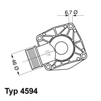 termostat,lichid racire