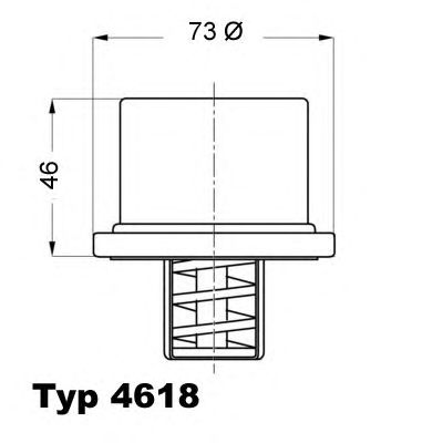 termostat,lichid racire