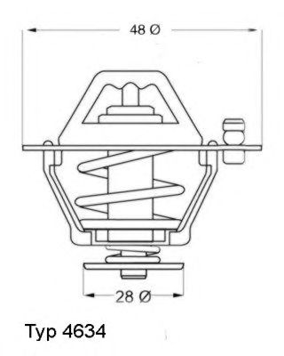 termostat,lichid racire