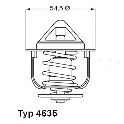 termostat,lichid racire