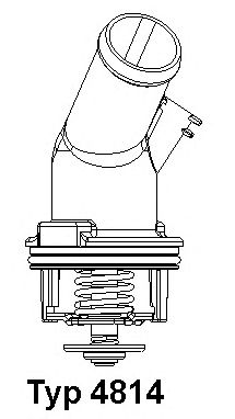 termostat,lichid racire