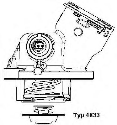 termostat,lichid racire MERCEDES-BENZ W463 5,0 100C