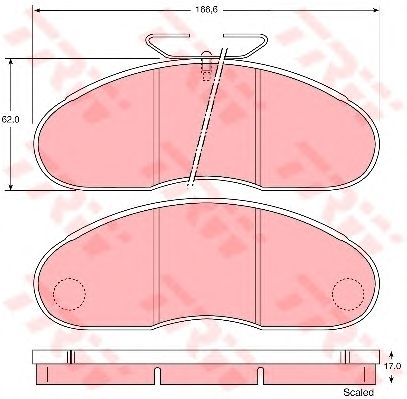 set placute frana,frana disc NISSAN